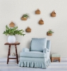 Picture of Sea Fern Driftwood Peel and Stick Wallpaper