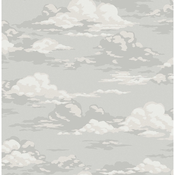 Picture of Cumulus Grey Clouds Wallpaper