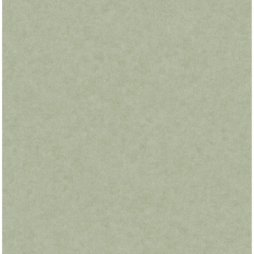 Picture of Heritage Green Plain Wallpaper