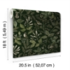 Picture of CLJ Emerson Hunter Green Peel and Stick Wallpaper