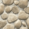 Picture of Root Rock Beige  Wallpaper