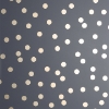 Picture of Priscella Charcoal Polka Dot Wallpaper