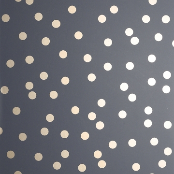 Picture of Priscella Charcoal Polka Dot Wallpaper