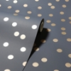 Picture of Priscella Charcoal Polka Dot Wallpaper