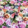 Picture of Deirdre Pink Floral Wallpaper