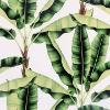 Picture of Musa Green Palm Tree Wallpaper