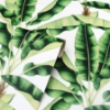 Picture of Musa Green Palm Tree Wallpaper