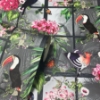 Picture of Dorothea Multicolor Tropical Birds Wallpaper