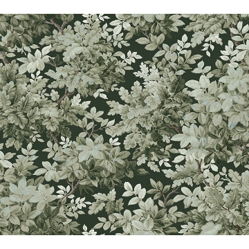 Picture of Greenwood Dark Green Deciduous Wallpaper