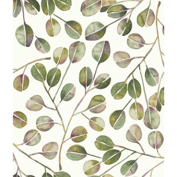 Picture of Cat Coquillette Eucalyptus Peel and Stick Wallpaper - Green