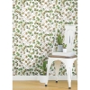 Picture of Cat Coquillette Eucalyptus Peel and Stick Wallpaper - Green