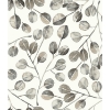 Picture of Cat Coquillette Eucalyptus Peel and Stick Wallpaper - Dark Gray