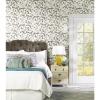 Picture of Cat Coquillette Eucalyptus Peel and Stick Wallpaper - Dark Gray