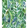 Picture of CatCoq Philodendron Peel and Stick Wallpaper - Green