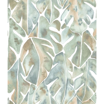 Picture of CatCoq Philodendron Peel and Stick Wallpaper - Pale Green