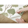 Picture of Umbrella Pines Peel & Stick Wallpaper - Green