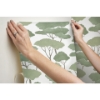 Picture of Umbrella Pines Peel & Stick Wallpaper - Green