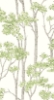 Picture of Birch Grove Peel & Stick Wallpaper - Green