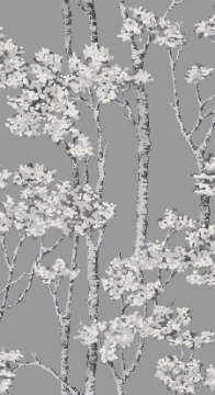 Picture of Birch Grove Peel & Stick Wallpaper - Grey