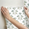 Picture of Cat Coquillette Gingko Peel & Stick Wallpaper - Jade