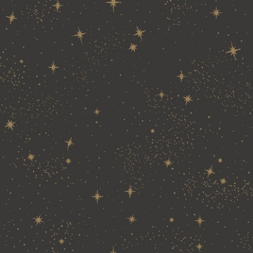 Picture of Upon a Star Peel and Stick Wallpaper - Black