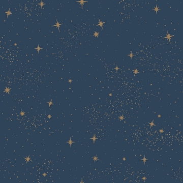 Picture of Upon a Star Peel and Stick Wallpaper - Navy