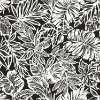 Picture of Tropical Leaf Peel and Stick Wallpaper - Black