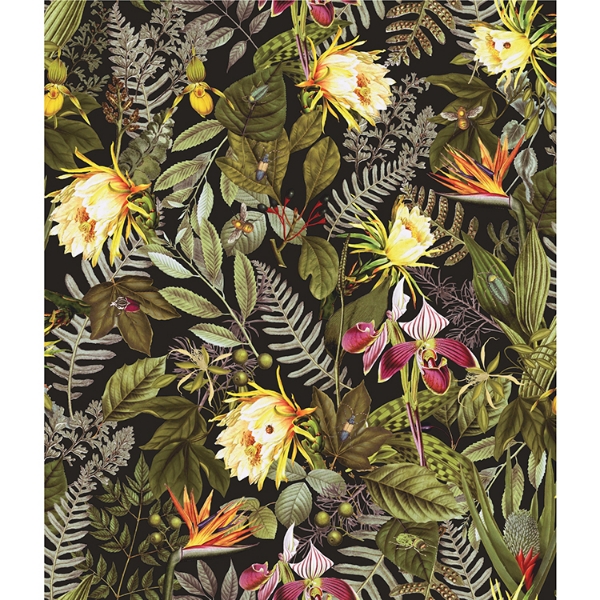 Picture of Tropical Flowers Peel and Stick Wallpaper - Black