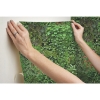 Picture of Living Wall Peel and Stick Wallpaper