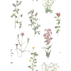 Picture of Botanical Peel and Stick Wallpaper - Green