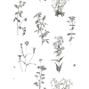 Picture of Botanical Peel and Stick Wallpaper - White