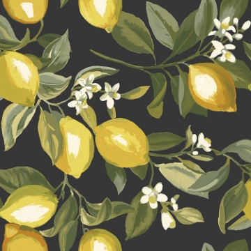 Picture of Lemon Zest Peel and Stick Wallpaper - Black