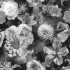 Picture of Vintage Floral Blooms Peel and Stick Wallpaper - Black