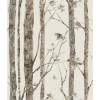 Picture of Trees Peel and Stick Wallpaper - Brown