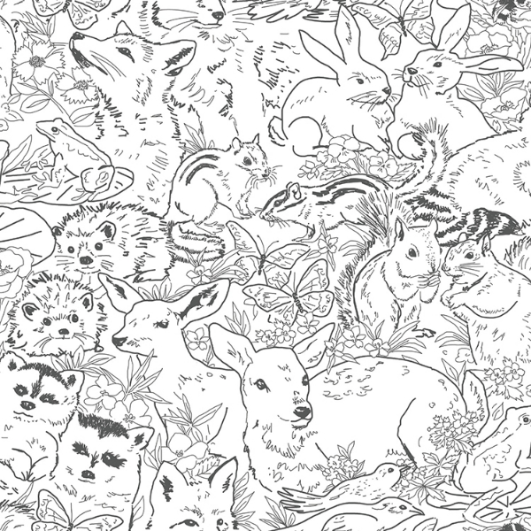 Picture of Woodland Sketch Peel and Stick Wallpaper - Black & White