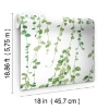 Picture of Hanging Watercolor Vines Peel and Stick Wallpaper - White