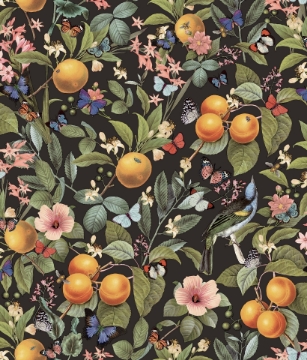 Picture of Citrus Peel and Stick Wallpaper - Black