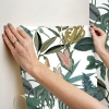 Picture of Mr. Kate Tropical Peel & Stick Wallpaper - Green