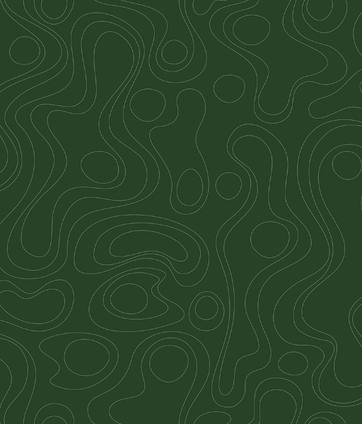 Picture of Emily Rayna Lineation Peel and Stick Wallpaper - Green