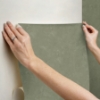 Picture of Mr. Kate Daphne Limewash Peel and Stick Wallpaper - Olive Green