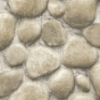 Picture of Yellowstone Root Rocks Beige Peel & Stick Wallpaper