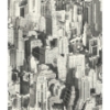 Picture of Big Apple Peel and Stick Wallpaper - Black