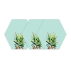 Picture of Pineapple Crown Dry Erase Hexagon Peel and Stick Wall Decals