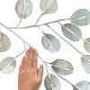 Picture of Catcoq Eucalyptus Peel and Stick Giant Wall Decals