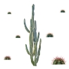 Picture of Cactus Giant Peel and Stick Wall Decals