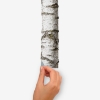 Picture of Realistic Birch Trees Peel and Stick Giant Wall Decals