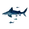 Picture of Shark Peel and Stick Giant Wall Decals