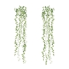 Picture of String of Pearls Vine Peel and Stick Wall Decals