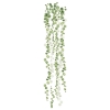 Picture of String of Pearls Vine Peel and Stick Wall Decals