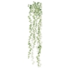 Picture of String of Pearls Vine Peel and Stick Wall Decals